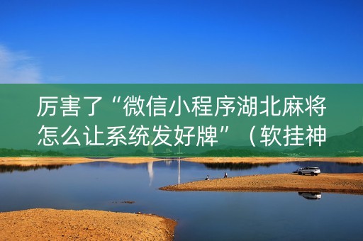 厉害了“微信小程序湖北麻将怎么让系统发好牌”（软挂神器)