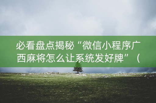 必看盘点揭秘“微信小程序广西麻将怎么让系统发好牌”（透明挂辅助器)