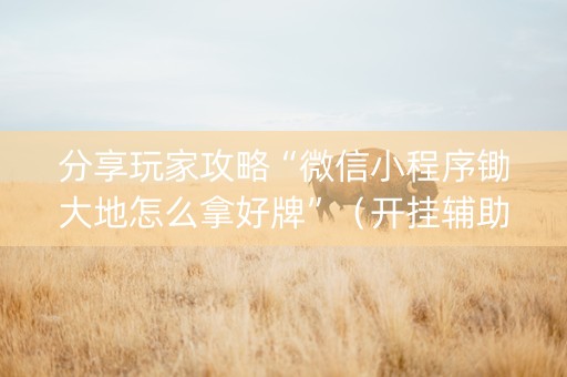 分享玩家攻略“微信小程序锄大地怎么拿好牌”（开挂辅助插件)