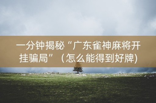 一分钟揭秘“广东雀神麻将开挂骗局”（怎么能得到好牌)