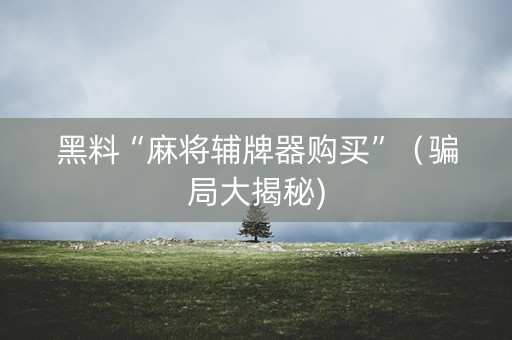 黑料“麻将辅牌器购买”（骗局大揭秘)