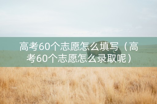 高考60个志愿怎么填写（高考60个志愿怎么录取呢）