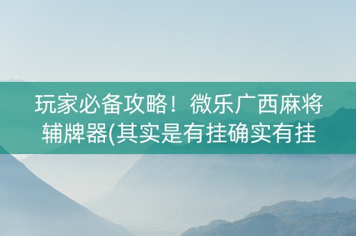 玩家必备攻略！微乐广西麻将辅牌器(其实是有挂确实有挂)