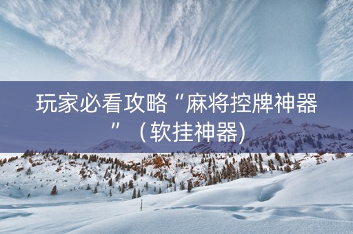玩家必看攻略“麻将控牌神器”（软挂神器)