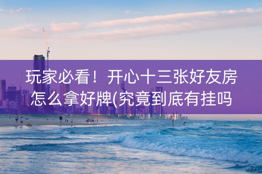 玩家必看！开心十三张好友房怎么拿好牌(究竟到底有挂吗)