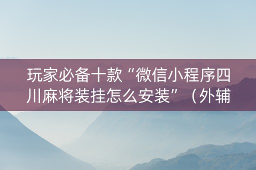 玩家必备十款“微信小程序四川麻将装挂怎么安装”（外辅工具)