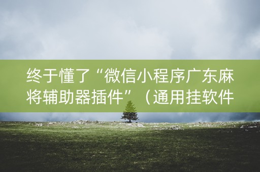 终于懂了“微信小程序广东麻将辅助器插件”（通用挂软件多少钱)