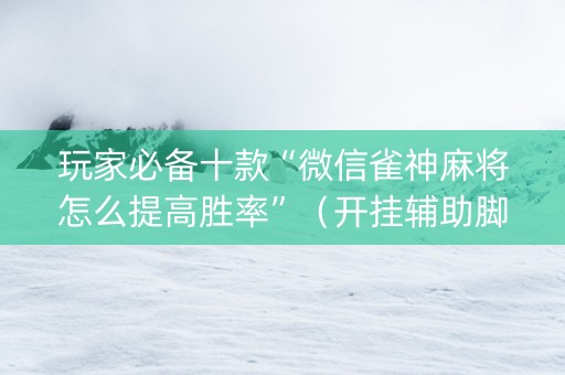 玩家必备十款“微信雀神麻将怎么提高胜率”（开挂辅助脚本)