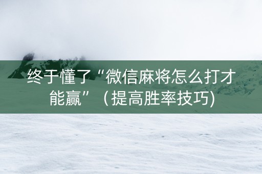 终于懂了“微信麻将怎么打才能赢”（提高胜率技巧)