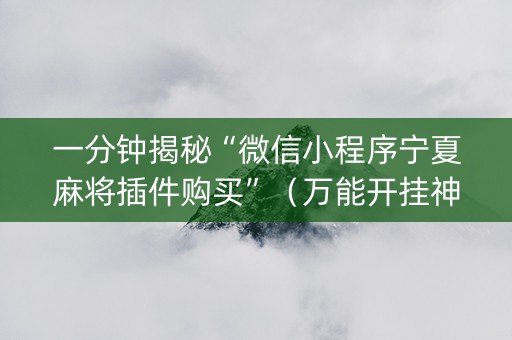 一分钟揭秘“微信小程序宁夏麻将插件购买”（万能开挂神器)