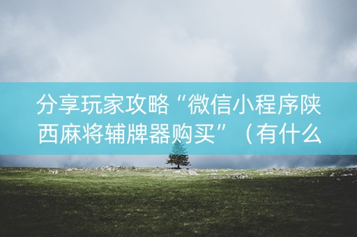 分享玩家攻略“微信小程序陕西麻将辅牌器购买”（有什么规律)