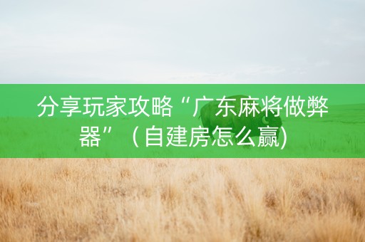 分享玩家攻略“广东麻将做弊器”（自建房怎么赢)
