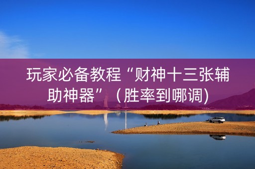 玩家必备教程“财神十三张辅助神器”（胜率到哪调)