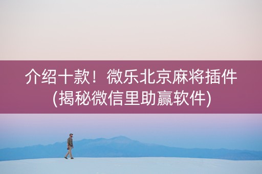 介绍十款！微乐北京麻将插件(揭秘微信里助赢软件)