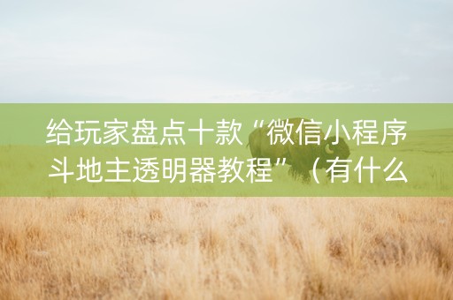 给玩家盘点十款“微信小程序斗地主透明器教程”（有什么诀窍)