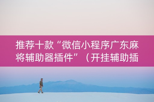 推荐十款“微信小程序广东麻将辅助器插件”（开挂辅助插件)
