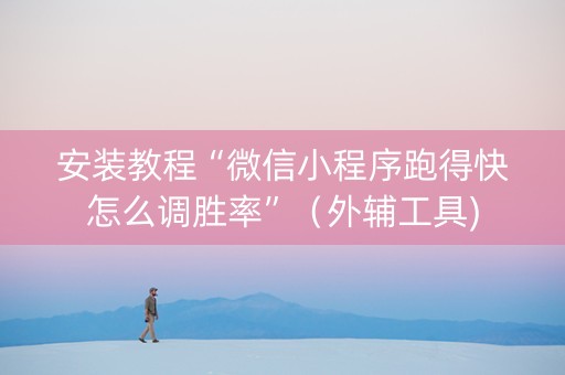 安装教程“微信小程序跑得快怎么调胜率”（外辅工具)