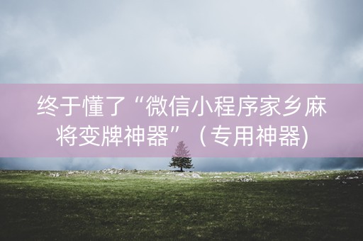终于懂了“微信小程序家乡麻将变牌神器”（专用神器)