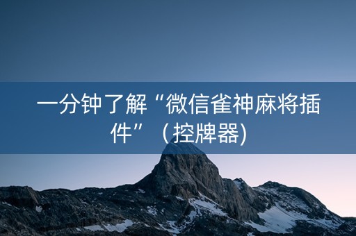 一分钟了解“微信雀神麻将插件”（控牌器)