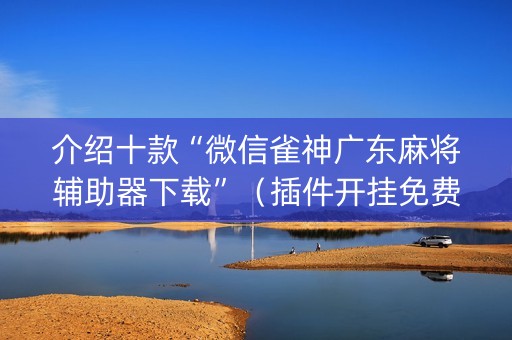 介绍十款“微信雀神广东麻将辅助器下载”（插件开挂免费AI)