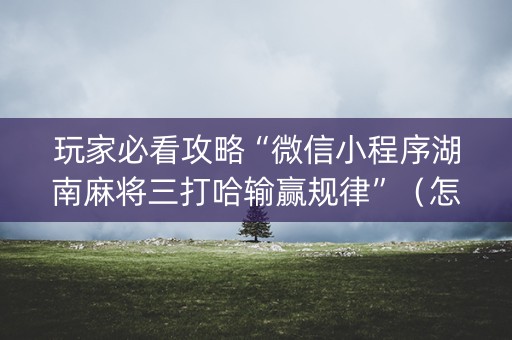 玩家必看攻略“微信小程序湖南麻将三打哈输赢规律”（怎么增加胜率)