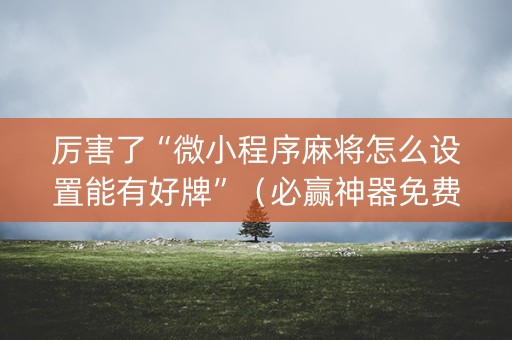 厉害了“微小程序麻将怎么设置能有好牌”（必赢神器免费安装)