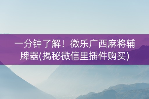 一分钟了解！微乐广西麻将辅牌器(揭秘微信里插件购买)