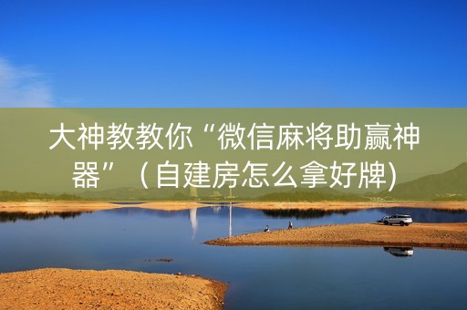 大神教教你“微信麻将助赢神器”（自建房怎么拿好牌)