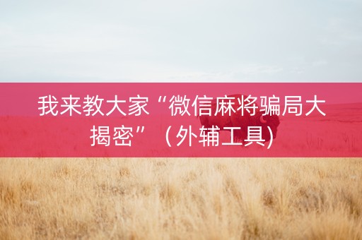我来教大家“微信麻将骗局大揭密”（外辅工具)