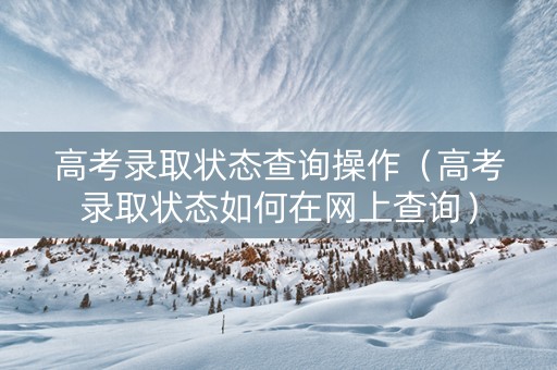 高考录取状态查询操作（高考录取状态如何在网上查询）