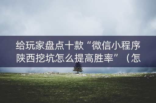 给玩家盘点十款“微信小程序陕西挖坑怎么提高胜率”（怎么设置能有好牌)