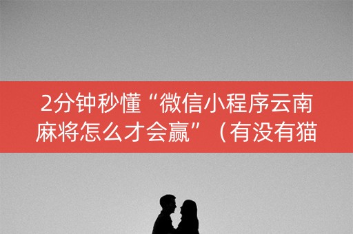 2分钟秒懂“微信小程序云南麻将怎么才会赢”（有没有猫腻)
