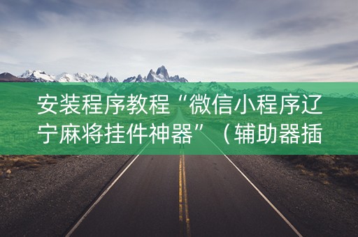 安装程序教程“微信小程序辽宁麻将挂件神器”（辅助器插件)