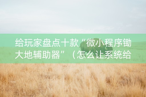 给玩家盘点十款“微小程序锄大地辅助器”（怎么让系统给自己好牌)