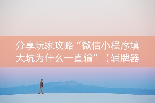分享玩家攻略“微信小程序填大坑为什么一直输”（辅牌器插件购买)