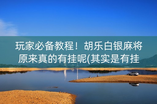 玩家必备教程！胡乐白银麻将原来真的有挂呢(其实是有挂的)
