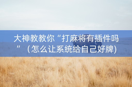大神教教你“打麻将有插件吗”（怎么让系统给自己好牌)