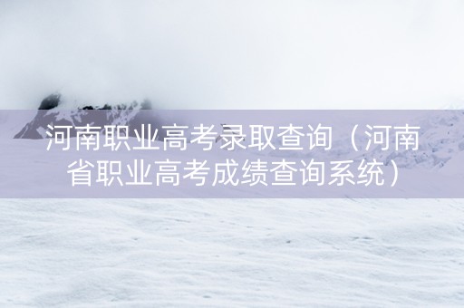 河南职业高考录取查询（河南省职业高考成绩查询系统）