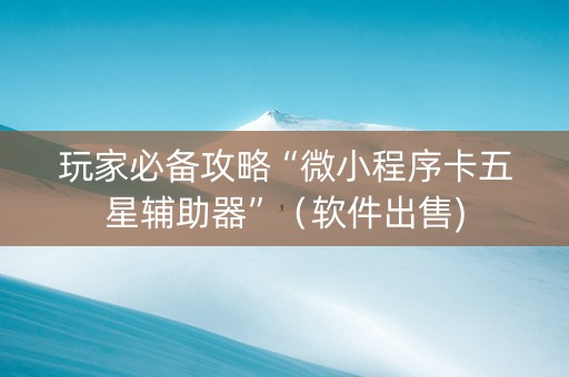 玩家必备攻略“微小程序卡五星辅助器”（软件出售)
