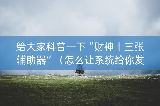 给大家科普一下“财神十三张辅助器”（怎么让系统给你发好牌)