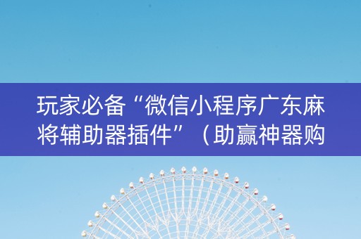 玩家必备“微信小程序广东麻将辅助器插件”（助赢神器购买)