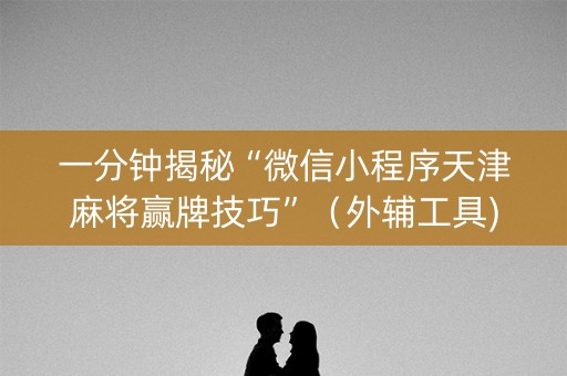一分钟揭秘“微信小程序天津麻将赢牌技巧”（外辅工具)