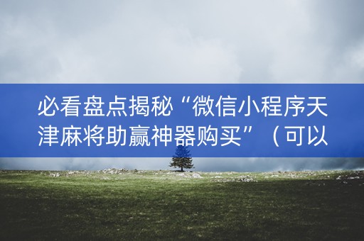 必看盘点揭秘“微信小程序天津麻将助赢神器购买”（可以设置输赢吗)