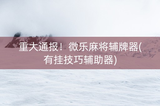 重大通报！微乐麻将辅牌器(有挂技巧辅助器)