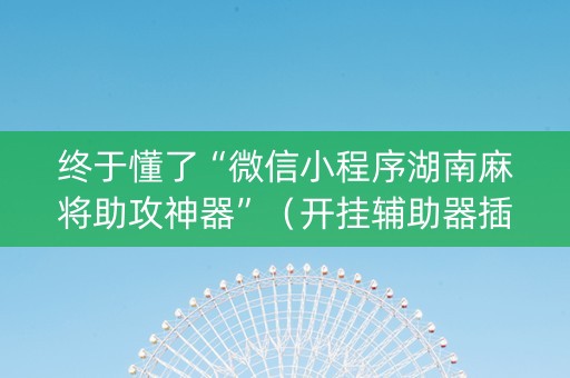 终于懂了“微信小程序湖南麻将助攻神器”（开挂辅助器插件)