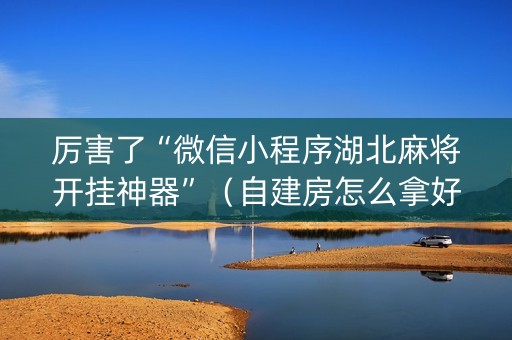 厉害了“微信小程序湖北麻将开挂神器”（自建房怎么拿好牌)
