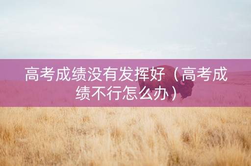 高考成绩没有发挥好（高考成绩不行怎么办）