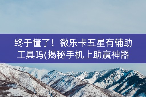 终于懂了！微乐卡五星有辅助工具吗(揭秘手机上助赢神器购买)