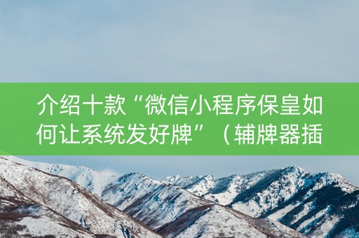 介绍十款“微信小程序保皇如何让系统发好牌”（辅牌器插件购买)