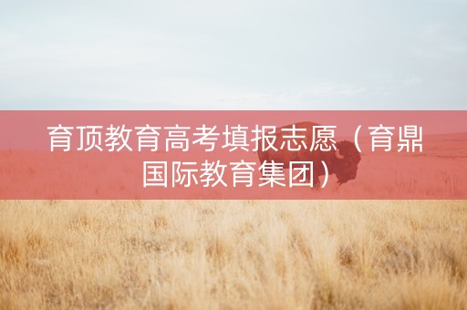 育顶教育高考填报志愿（育鼎国际教育集团）